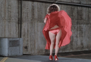 Kelly_LeBrock_The_Woman_In_Red0002.gif